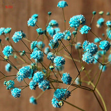 Load image into Gallery viewer, 100PCS/BAG , Beautiful Dried Natural  Gypsophila Flower Bouquets,Baby&#39;s Breath,Table Arrangements Weddding Decorations