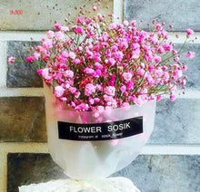 Load image into Gallery viewer, 100PCS/BAG , Beautiful Dried Natural  Gypsophila Flower Bouquets,Baby&#39;s Breath,Table Arrangements Weddding Decorations