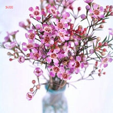 Load image into Gallery viewer, 100PCS/BAG , Beautiful Dried Natural  Gypsophila Flower Bouquets,Baby&#39;s Breath,Table Arrangements Weddding Decorations