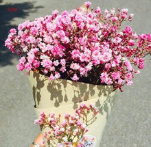 Load image into Gallery viewer, 100PCS/BAG , Beautiful Dried Natural  Gypsophila Flower Bouquets,Baby&#39;s Breath,Table Arrangements Weddding Decorations